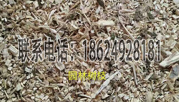 【新品热卖】1000型园林树枝粉碎机 产量大柴油树枝粉碎机示例图7