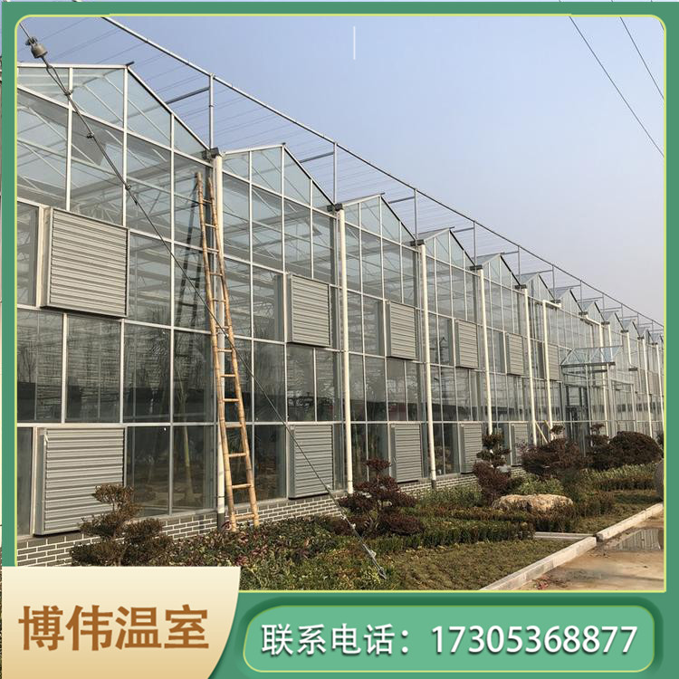 多功能温室大棚 蔬菜大棚温室 双层玻璃温室 博伟 BW