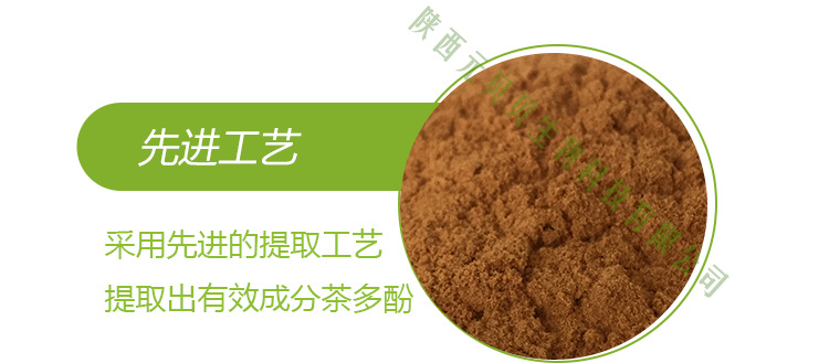 茶多酚40%-98%  厂家供应儿茶素 茶叶提取物 绿茶提取物示例图2