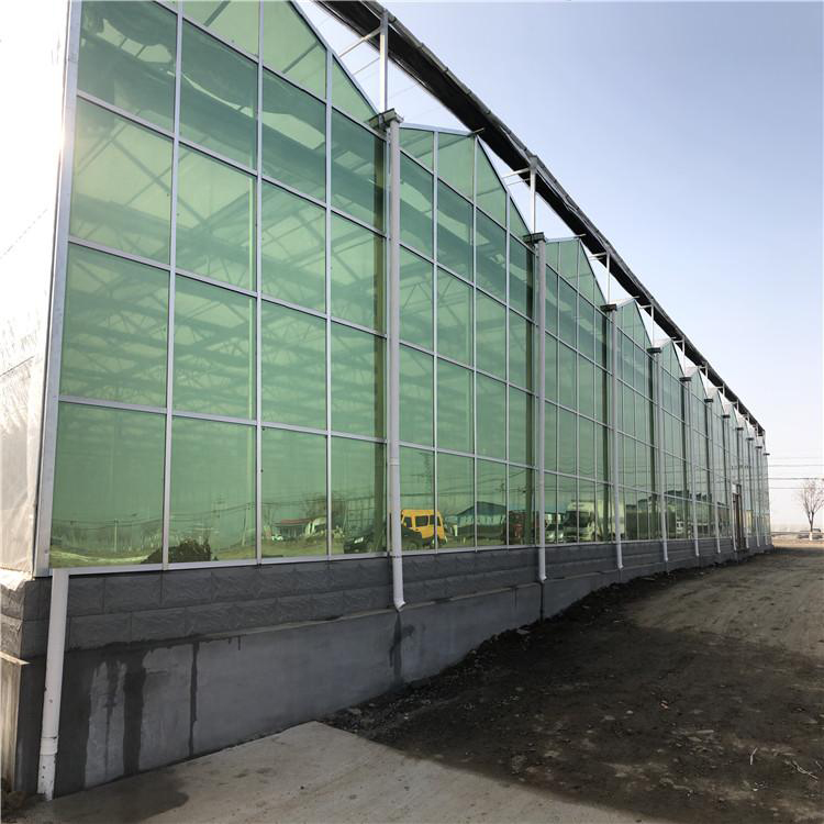 玻璃连栋温室 花卉温室厂家 新型玻璃温室价格 博伟 BW