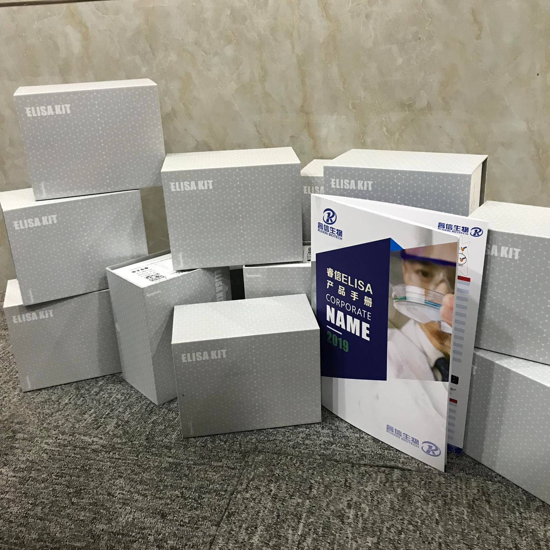 睿信生物 小鼠4型胶原(Col4)elisa试剂盒图片