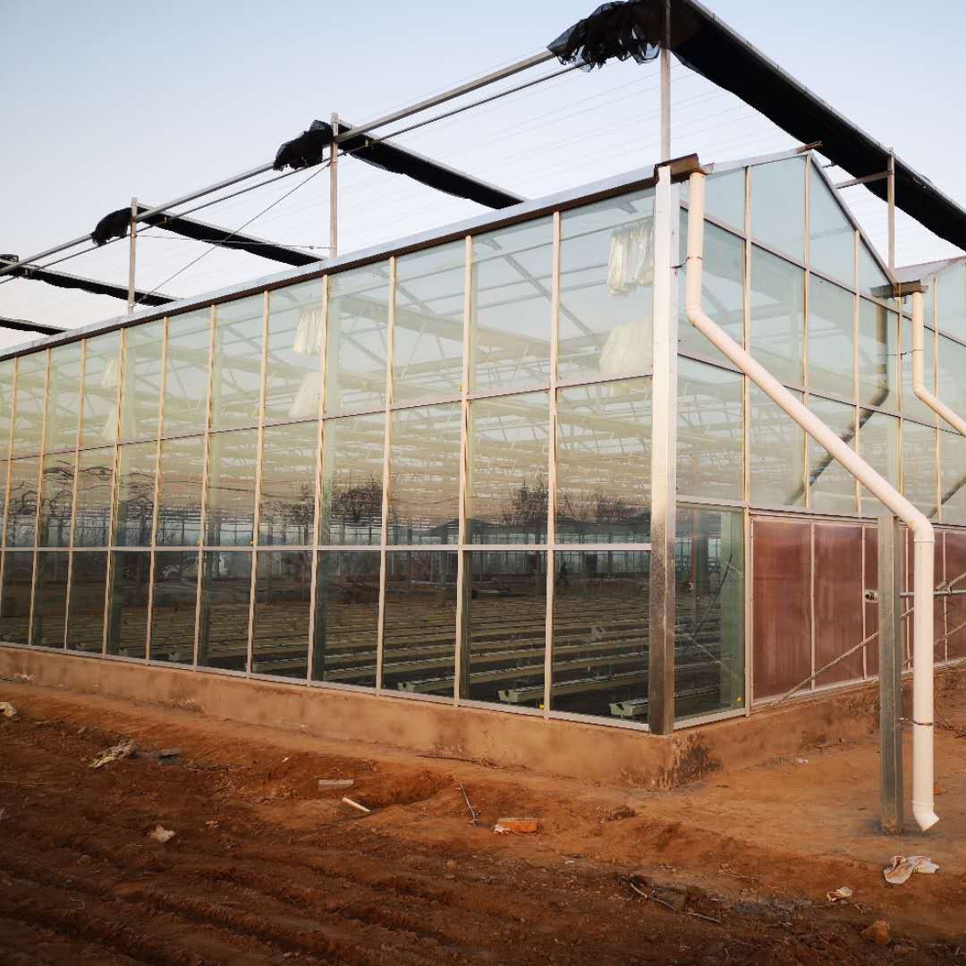 智能玻璃温室 种植玻璃大棚 果蔬玻璃温室大棚 博伟