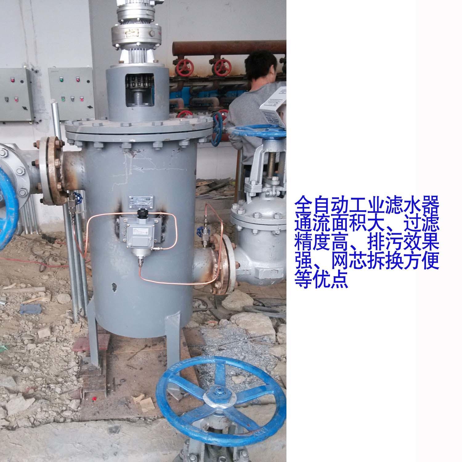 全自动滤水器 水电站用反冲洗滤水器 华银厂家销售 DN100