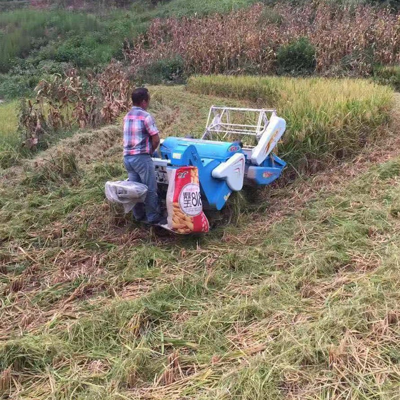 自动装袋水稻收割机 四川小麦水稻履带式收割机 稻麦联合收割机