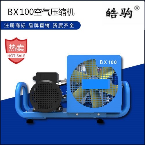 上海皓驹BX-100空气压缩机国产100L高压空气充气泵