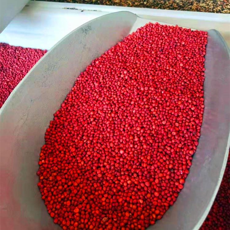甜高粱 通凯养殖牧草种子 半亩三斤 甜高粱厂家图片