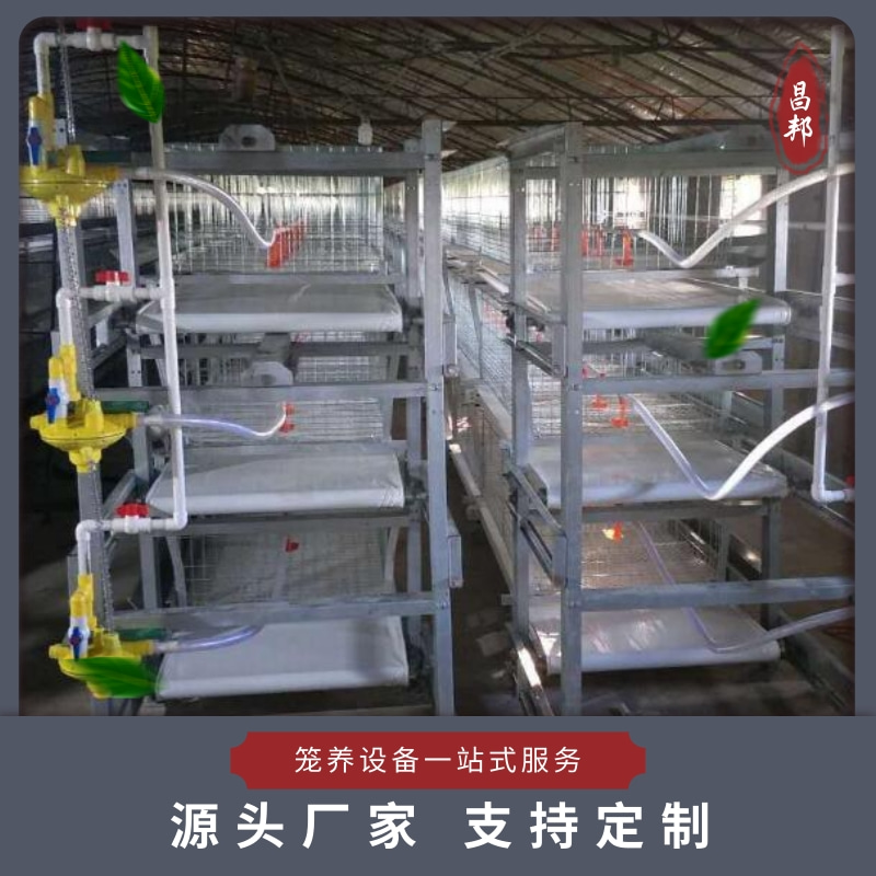 肉鸡养殖笼具厂家 供应肉鸡笼 昌邦 肉鸡养殖笼 包物流