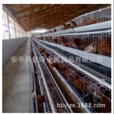 厂家批发三层立式养鸡笼 热镀锌肉鸡笼养殖设备 亿泽大号鸡笼子