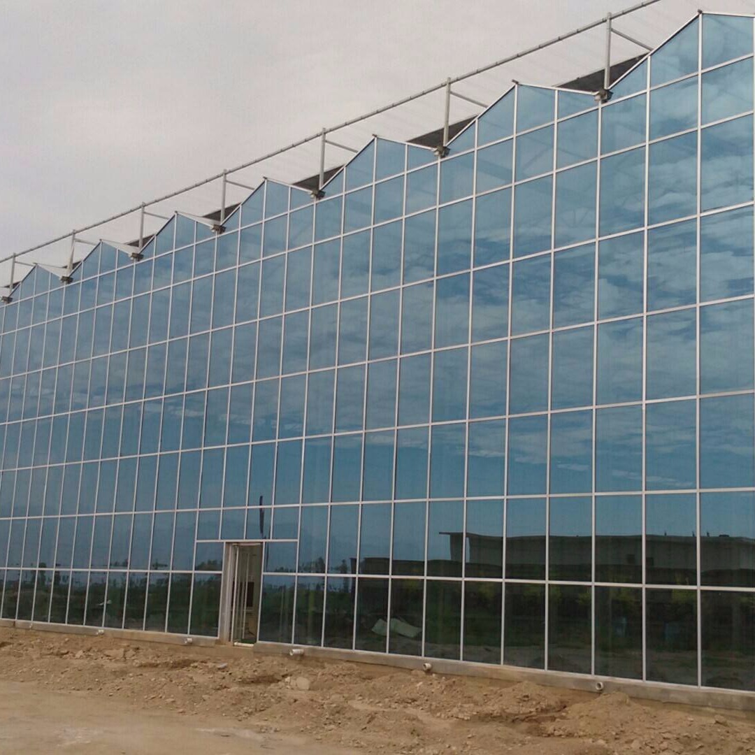 潍坊建达温室 温室大棚玻璃 玻璃大棚价格 玻璃大棚材料 玻璃大棚加工图片