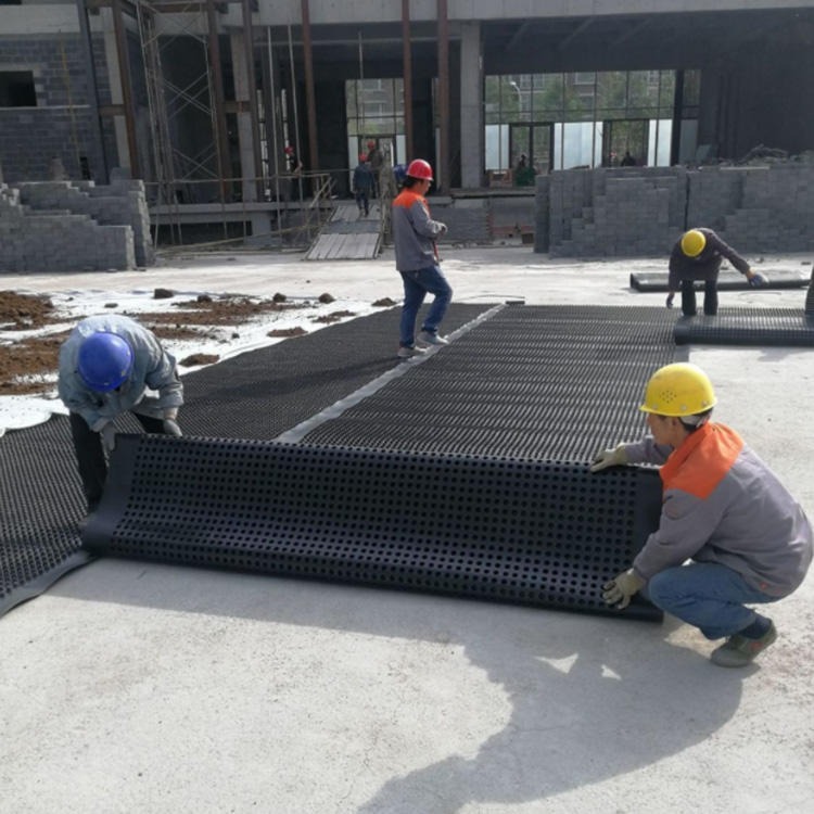 排水板塑料排水板厂家 江西塑料渗排水板材 排水透气 一匡量大价优