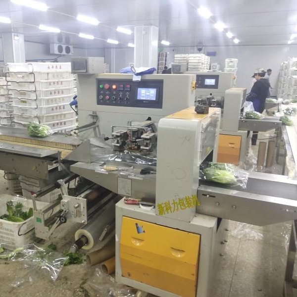 唐氏智能永锋蔬菜包装机  配送蔬菜包装机 果蔬自动包装机  重庆蔬菜包装机