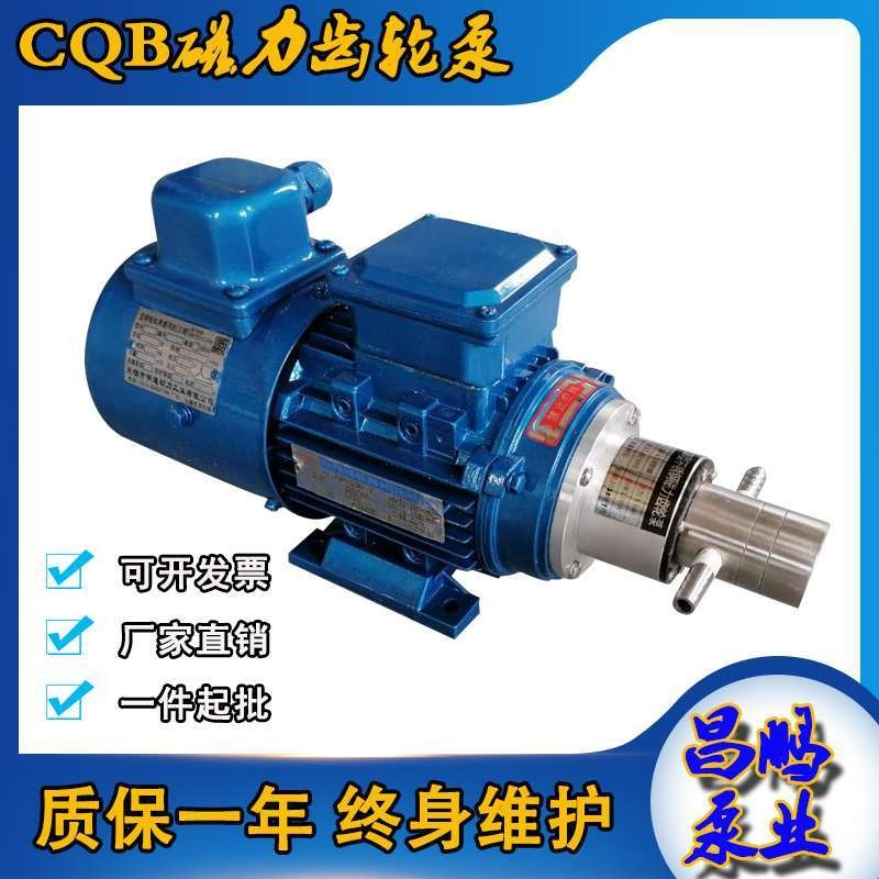 不锈钢磁力齿轮泵8CQB-3  微型齿轮泵 灌装机配用齿轮泵  不锈钢泵