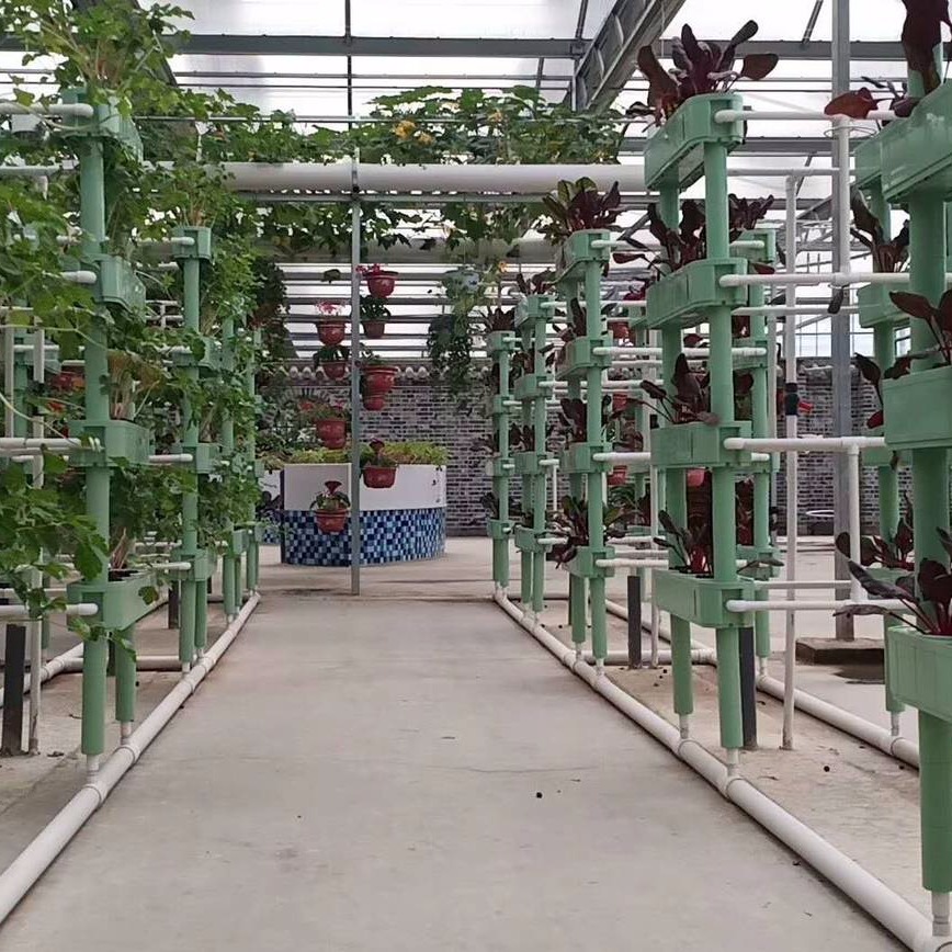 潍坊建达温室 水培蔬菜温室 玻璃水培蔬菜温室 水培种植架子 水培设备厂家