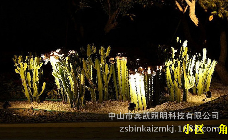 LED投射灯3w6w户外防水地插灯 草坪投射灯圆形插地灯花园射树灯示例图13