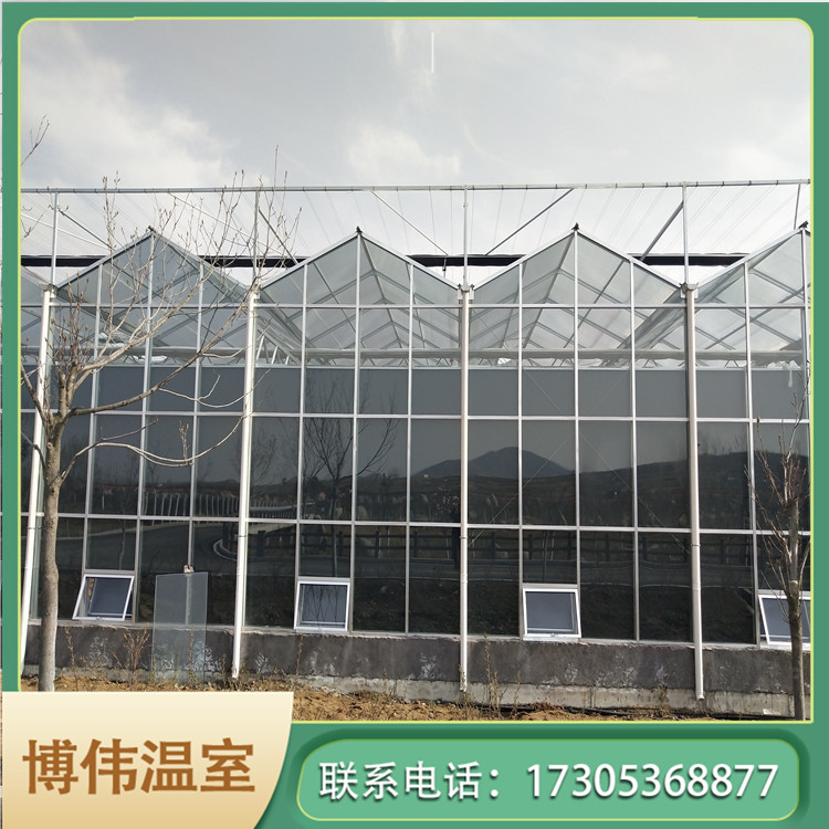 蔬菜玻璃温室工程 阴阳大棚 建温室大棚价格 博伟 BW