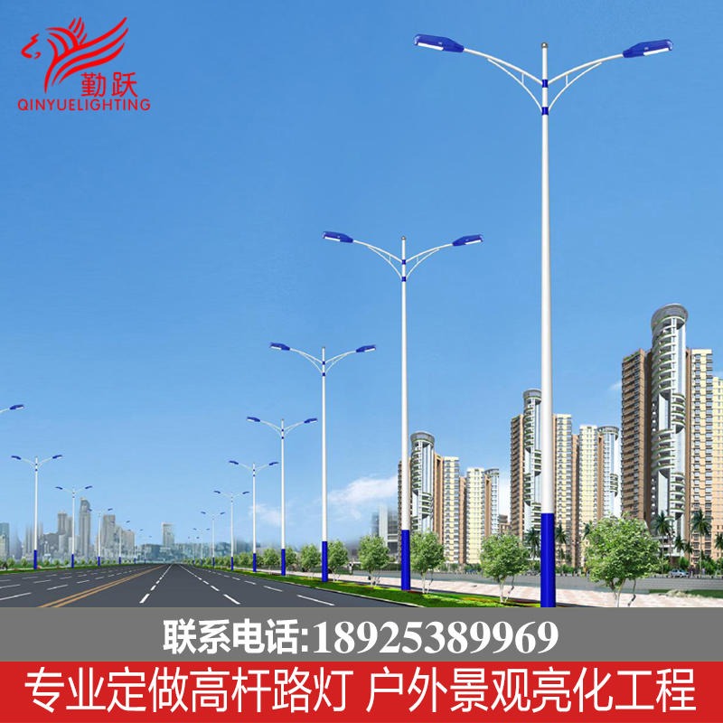 翁源市电路灯批发  6米7米8米道路照明灯柱  一体成型路灯价格