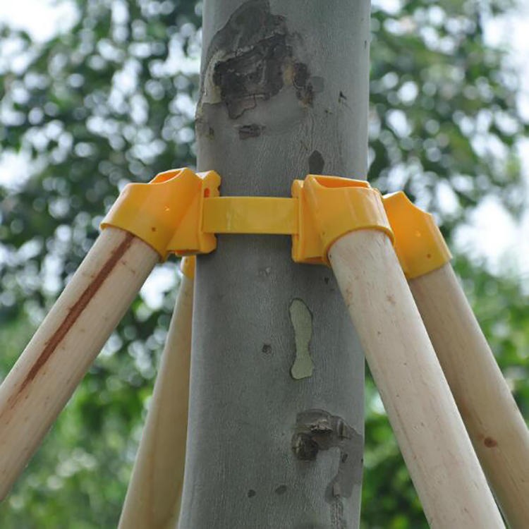 树木扎带套杯 园林维护支架 绿植保护支撑架 一匡 量大价优图片