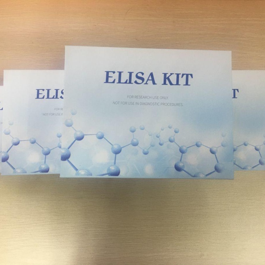 小鼠白细胞介素17A试剂盒  IL17A elisa试剂盒 仑昌硕生物