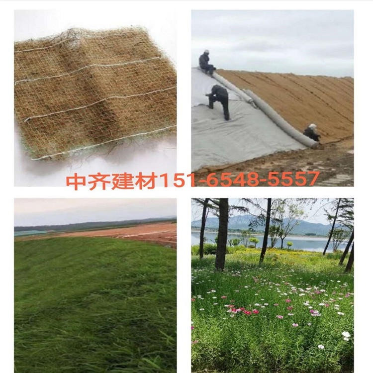 江苏厂家生产椰丝植被毯 快递免费 鼎诺绿化护坡椰丝毯