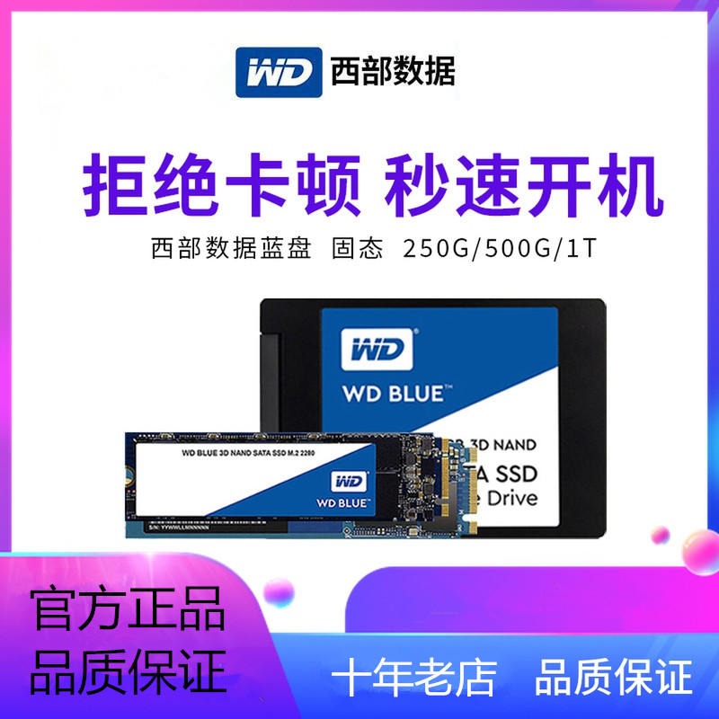 西数蓝盘 500G 1T 2T Blue系列SN550 M.2 SSD固态硬盘 SATA 西部数据 厂家促销批发