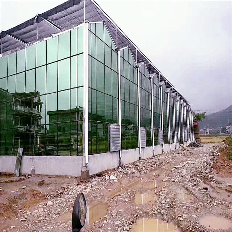 草莓温室建设 青海辉腾温室 第五代现代大棚