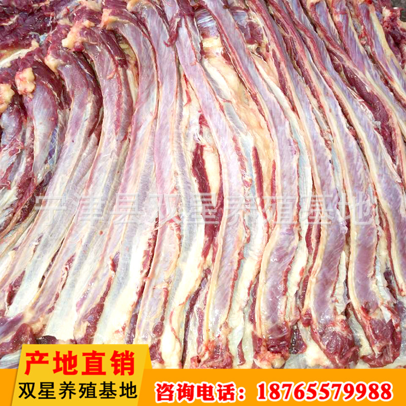 批发供应蒙古马鲜马肉 活马屠宰新鲜营养肋条肉 肉质鲜美进口马肉示例图16