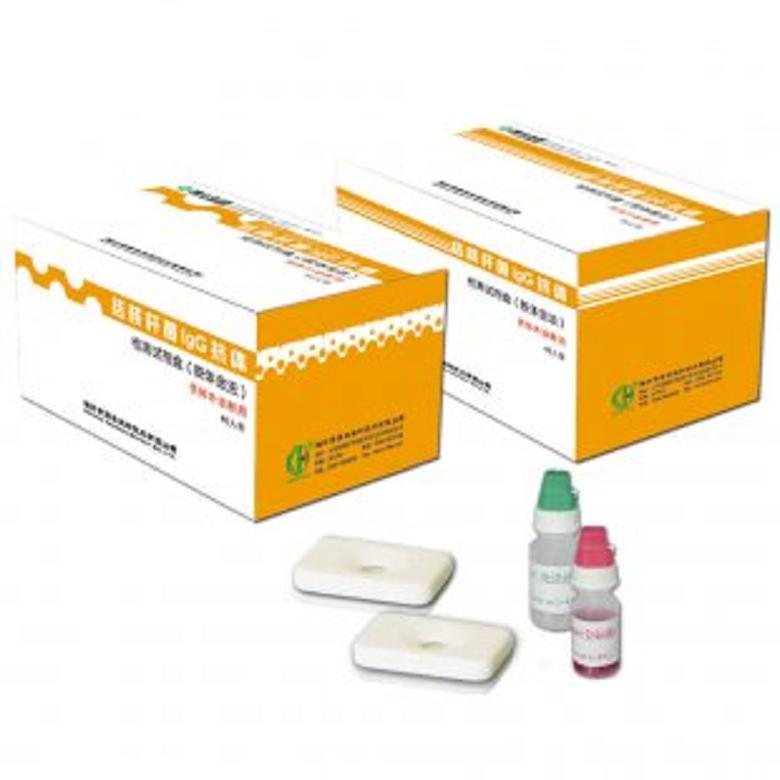 大鼠基质金属蛋白酶9(MMP-9)ELISA试剂盒ELISA试剂盒