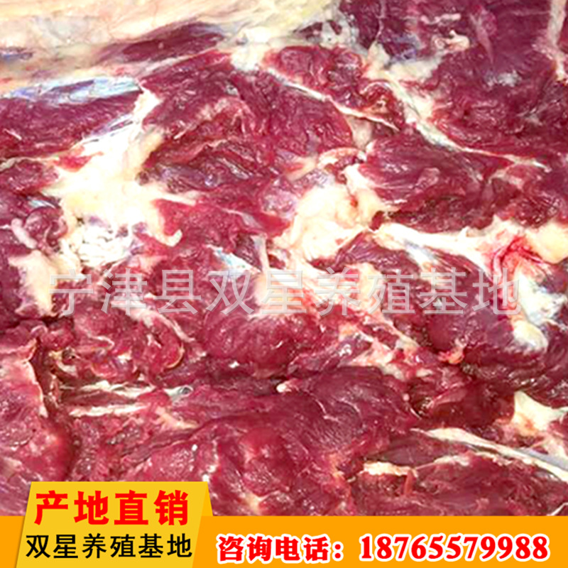 精品批发驴脊骨肉 新鲜驴骨头肉 饭店用生鲜驴肉示例图25