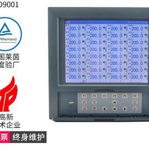 温度记录仪带打印 监控型温度记录器 储存式温度记录仪