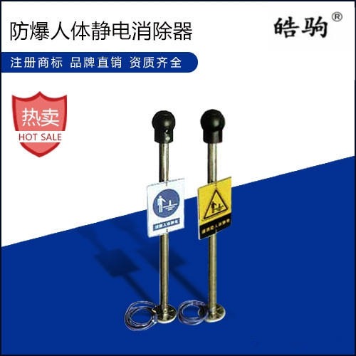 上海皓驹品牌供应 FSR0602.人体静电消除器 人体静电释放器 人体消除器 人体释放器