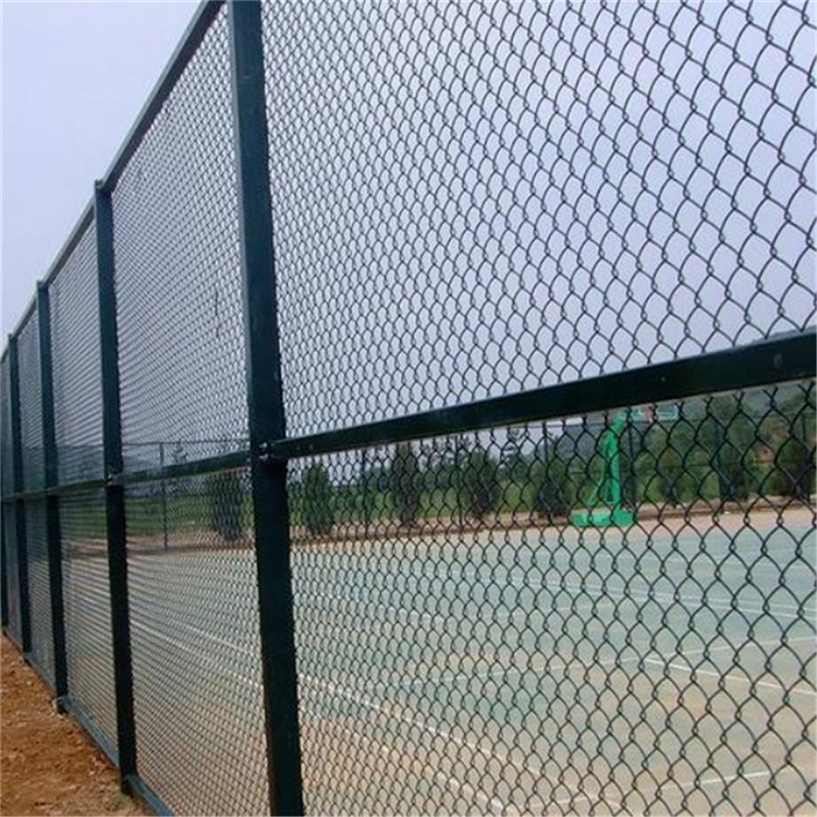 球场围网 球场勾花护栏网 运动场围网厂图片
