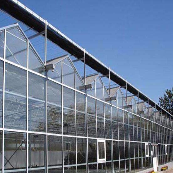 潍坊建达温室 玻璃温室直销 连栋玻璃温室 玻璃使用时间 小型玻璃温室 大型连栋玻璃温室图片