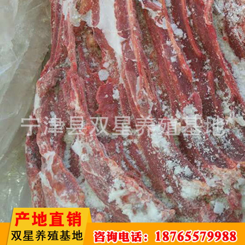 厂家直销  蒙古草原进口马肉 新鲜前腿肉质鲜美营养丰富示例图9