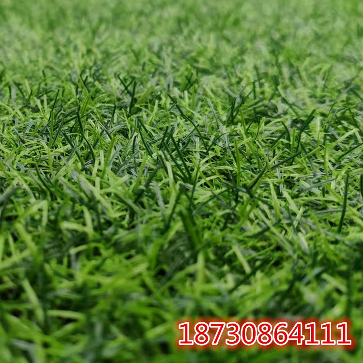 三色草仿真草坪厂家  安平临边 生产 LB-03  2公分草坪 不掉草