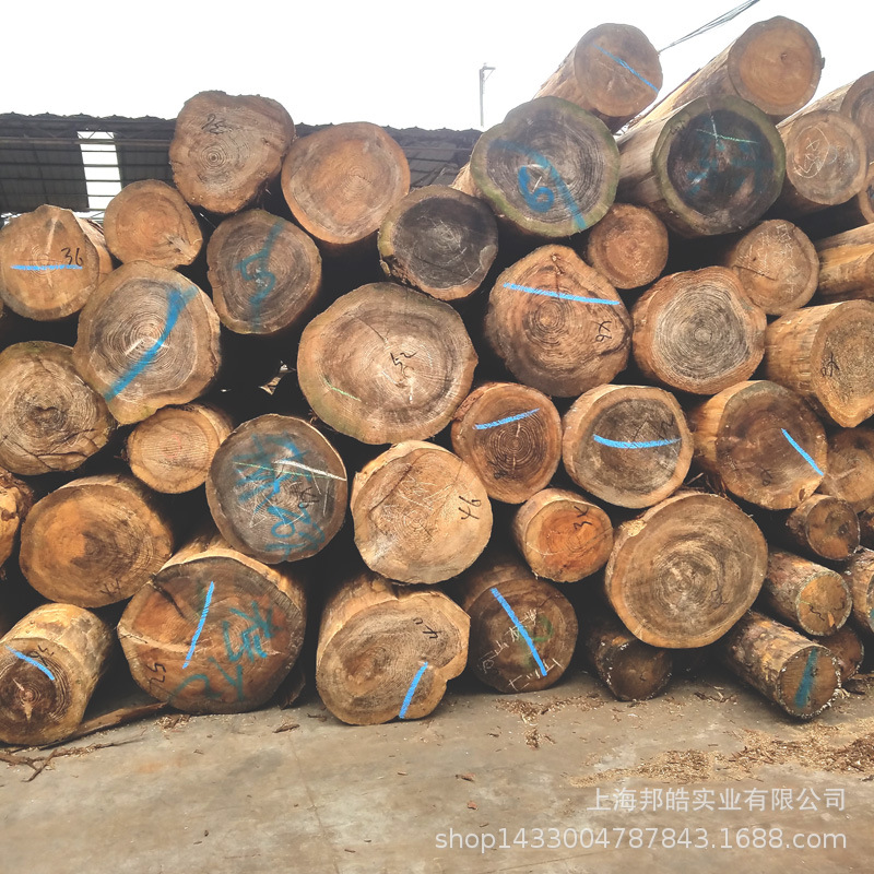 上海邦皓木材加工厂直供日本柳杉4米长大原木 打桩木 加工木方