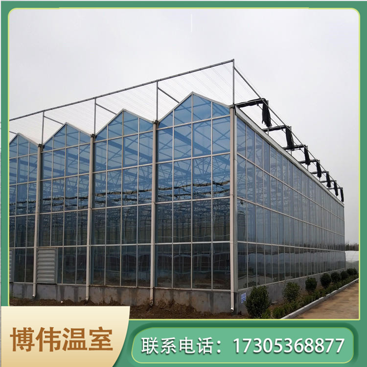 玻璃连栋大棚 花卉大棚温室 新型玻璃智能水果温室 博伟 BW