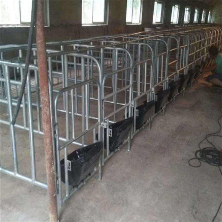 带食槽养猪定位栏 育肥用定位栏 定位栏猪用 晟坤  生产厂家