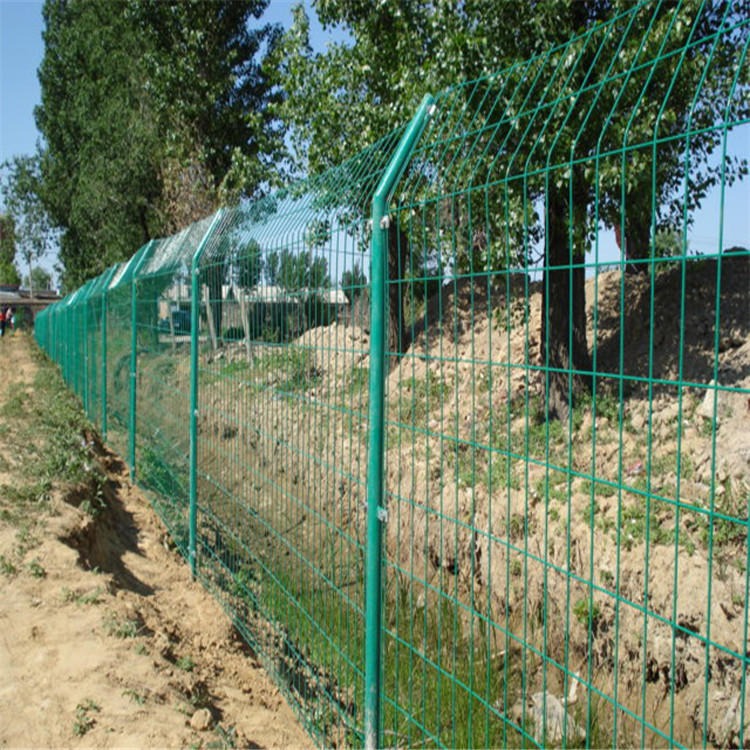 安平百瑞供应双边丝围栏网 双边丝绿色防护网 双边丝护栏网厂家