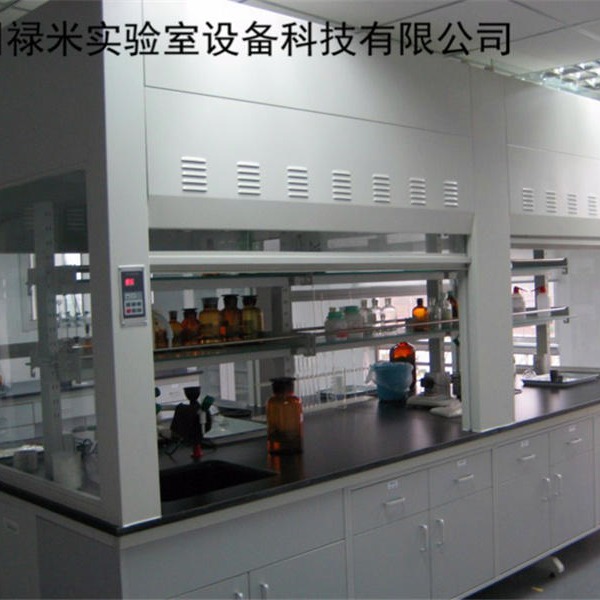 禄米实验室 桌上型通风柜 桌面通风罩 实验室桌面通风橱定制 LUMI-TFG6451图片
