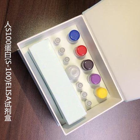 人S100蛋白(S-100)ELISA试剂盒  WSJH10165A   96T 维克奇图片