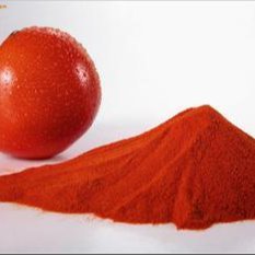 供应优质食品级番茄粉 番茄粉生产厂家 番茄粉价格 番茄粉图片