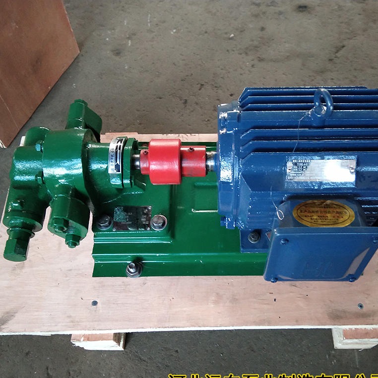 河北远东泵业  输送食用油泵  KCB483.3 不锈钢齿轮泵  重61KG
