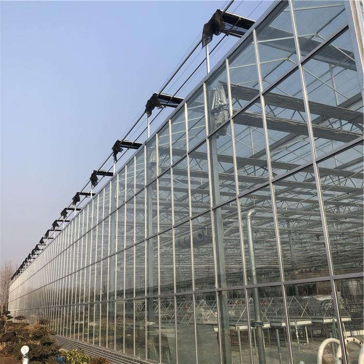 博伟 BW 现代化连体玻璃温室 智能玻璃大棚 承建连栋温室安装 玻璃温室建设 欢迎选购