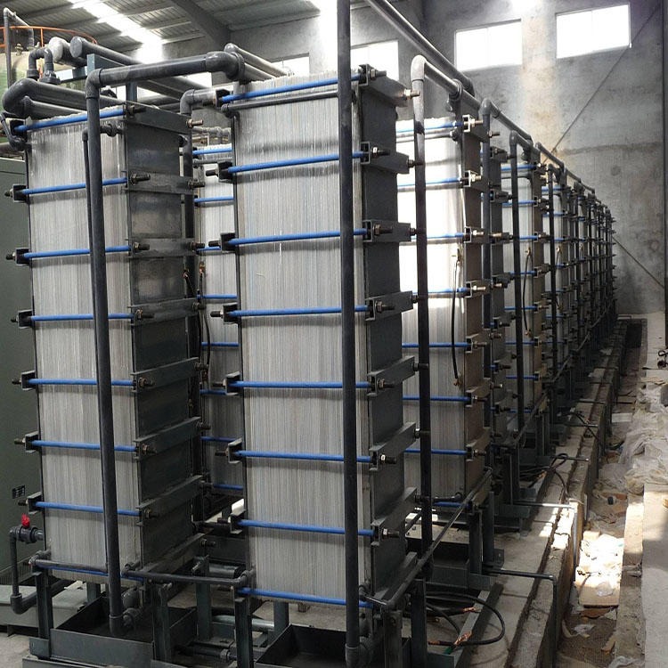 利佳   EDR电渗析设备     废水处理装置价格   全国供应 利佳