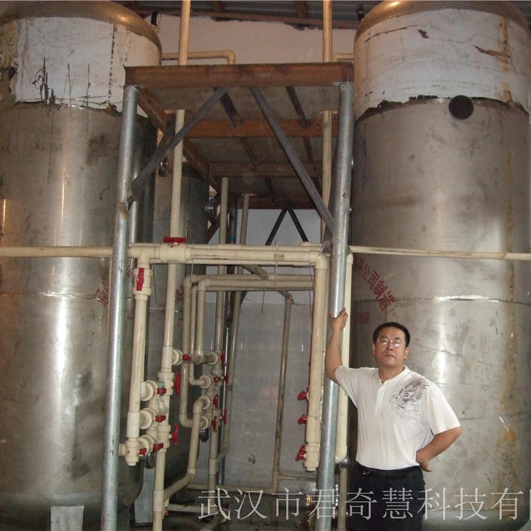 湖北武汉 君奇慧牌  明胶离子交换设备 阴阳离子交换器图片