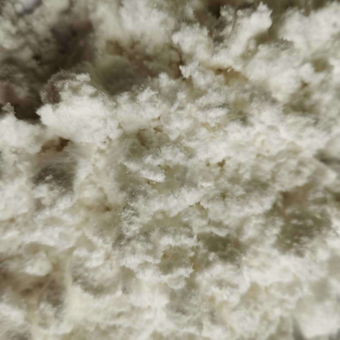 厂家生产白色木质纤维 砂浆木质纤维 腻子专用木质纤维