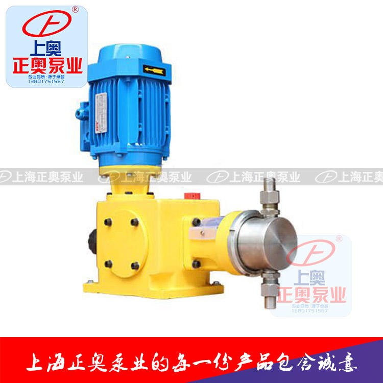 上海正奥DZ-Z型柱塞式计量泵 不锈钢往复计量泵