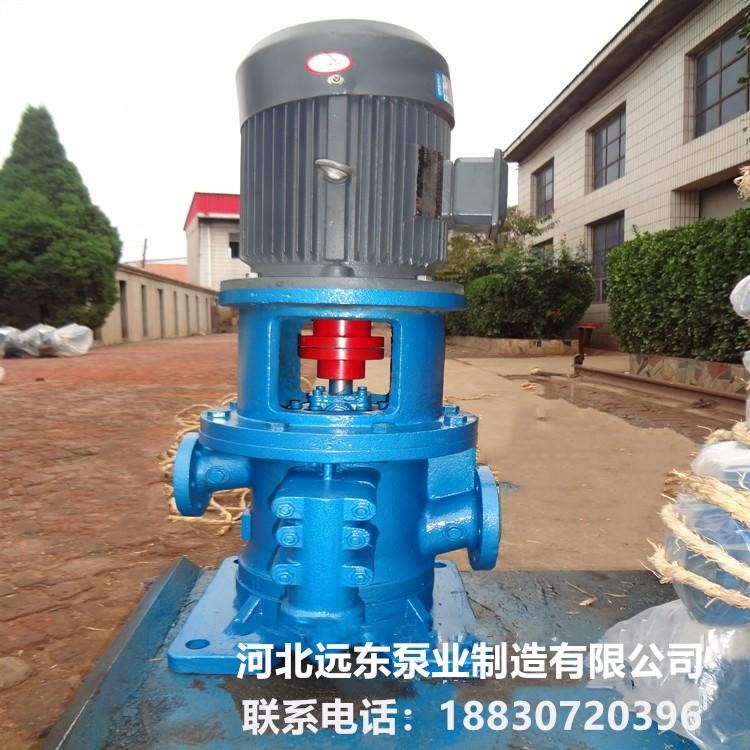 水电站机械调速压力水电油泵3G36×6C2用于广西岩滩水电厂用立式三螺杆泵 -泊远东