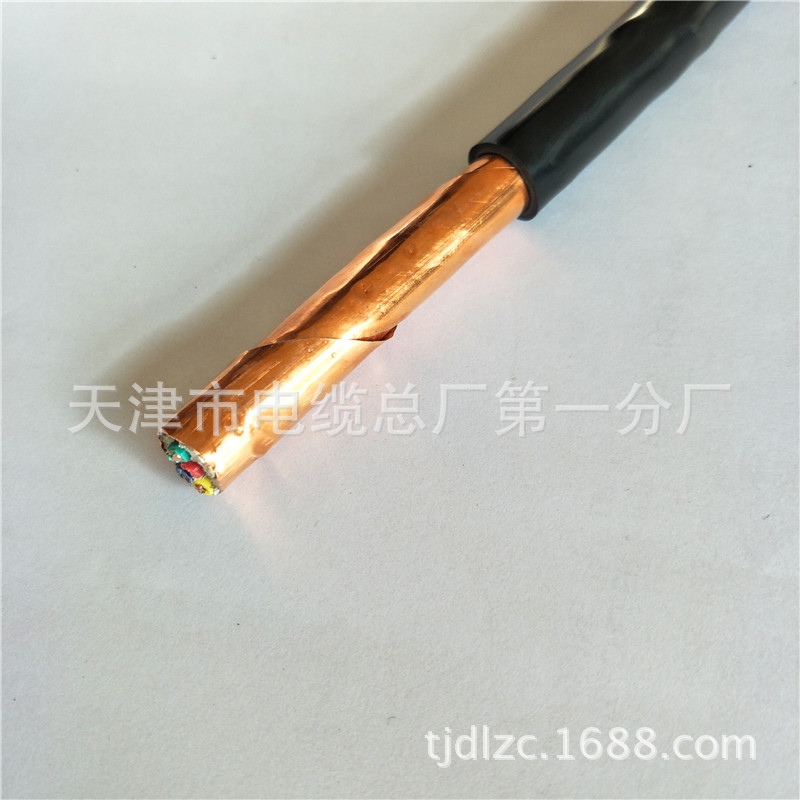 NH KVVP2-22 4*2.5耐火控制电缆 铜箔屏蔽 钢带铠装铜芯电缆地埋示例图4