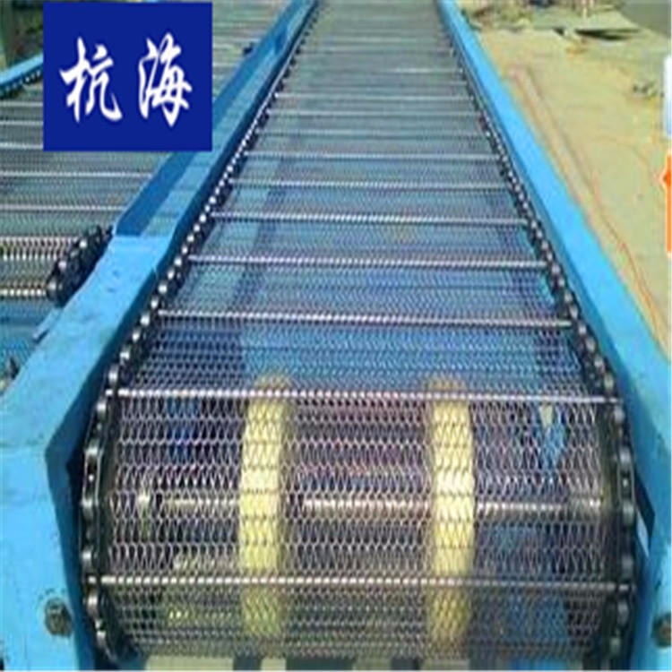 杭海机械 厂家定制多层食品烘干机链板输送设备 链板式输送机耐高温食品输送机